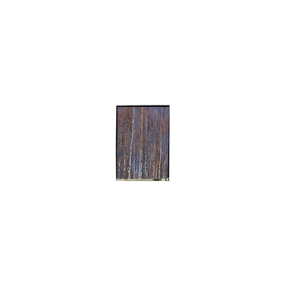 좋은 가격 LS055T3SX13 5.5인치 LCD 스크린 TFT LCD 디스플레이 온라인으로