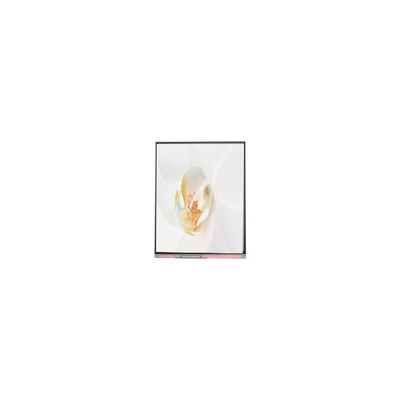 좋은 가격 C050SWYD-2 5.0인치 480*854 LCD 화면 온라인으로