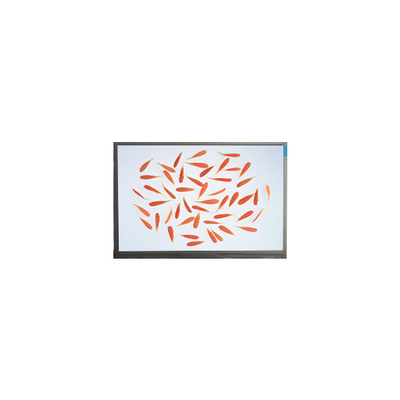 좋은 가격 C116NWR4-0 11.6 인치 1366*768 IPS LCD 화면 온라인으로