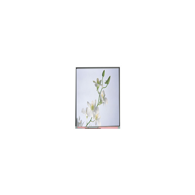 좋은 가격 C060SWZ1-0 NEW 6.0 인치 540*960 LCD 화면 온라인으로