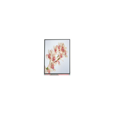 좋은 가격 C060SWA4-0 NEW 6.0 인치 IPS LCD 화면 온라인으로