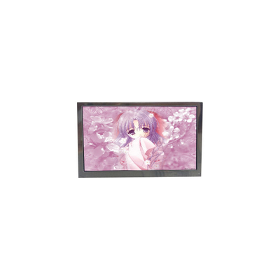좋은 가격 TFTMD053056 5.3인치 60Hz LCD 화면 패널 온라인으로