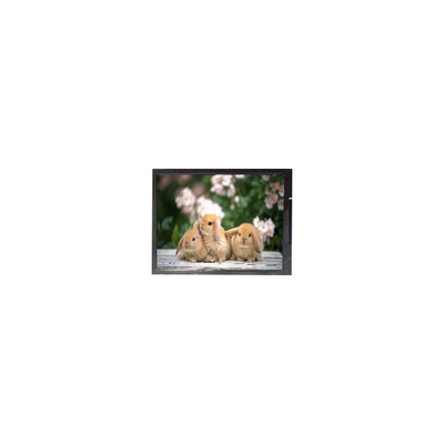좋은 가격 F050A12-601 5.0 인치 LCD 화면 휴대 전화 온라인으로