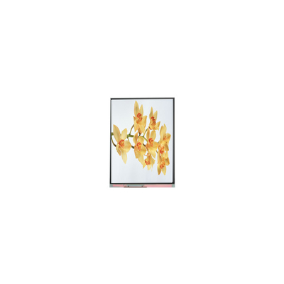좋은 가격 C060SWY2-1 6.0인치 480*854 TFT LCD 화면 디스플레이 패널 온라인으로