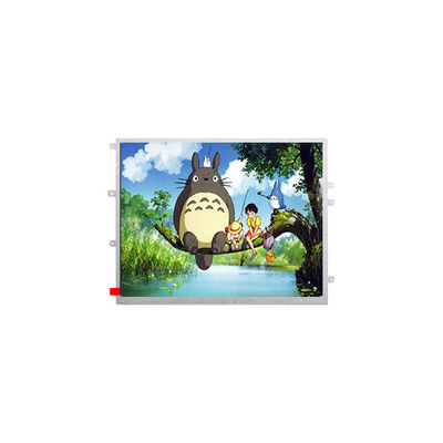 좋은 가격 1024*768 TM097TFH02 9.7 인치 LCD 화면 TFT LCD 패널 온라인으로