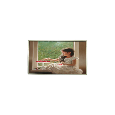 좋은 가격 230.0인치 LTM230HT05-V 30 핀 1920*1080 LCD 화면 패널 온라인으로