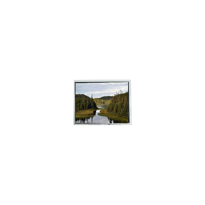 좋은 가격 새 12.1인치 EV121WXM-N80 1280*800 해상도 LCD 디스플레이 패널 온라인으로