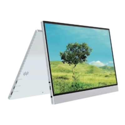 좋은 가격 15.0인치 휴대용 모니터 1920*1080 고색 재현 USB-C HDMI 맞춤형 로고 모니터 온라인으로