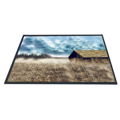 좋은 가격 AUO 10.1은 B101XAN01.2 1366x768 TFT LCD 패널 스크린으로 조금씩 움직입니다 온라인으로